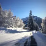 Fresh Tracks - L Etendard Oz